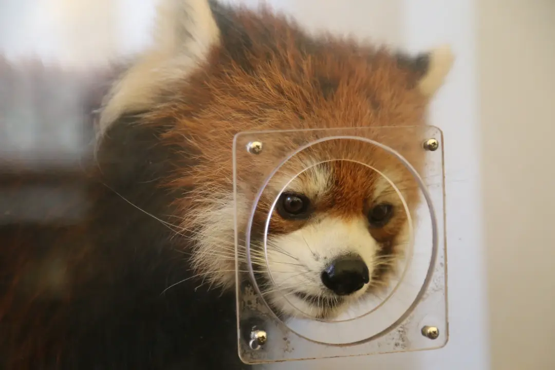 大事のプロフィール写真