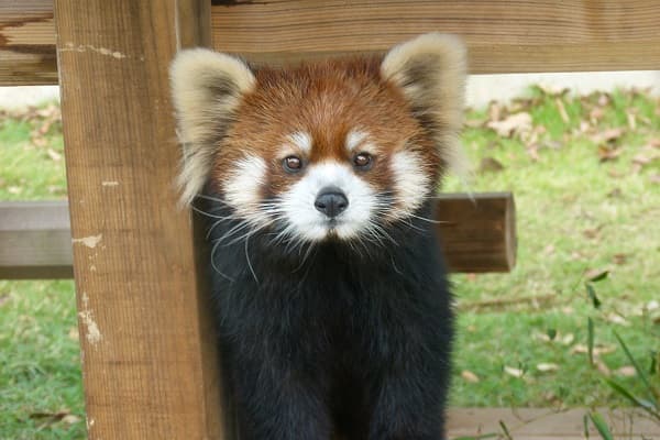 ひかりのプロフィール写真