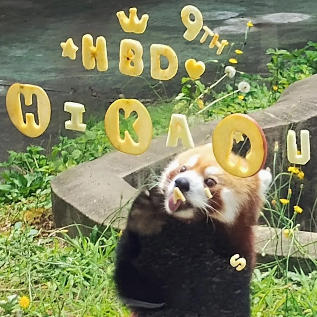 輝のプロフィール写真