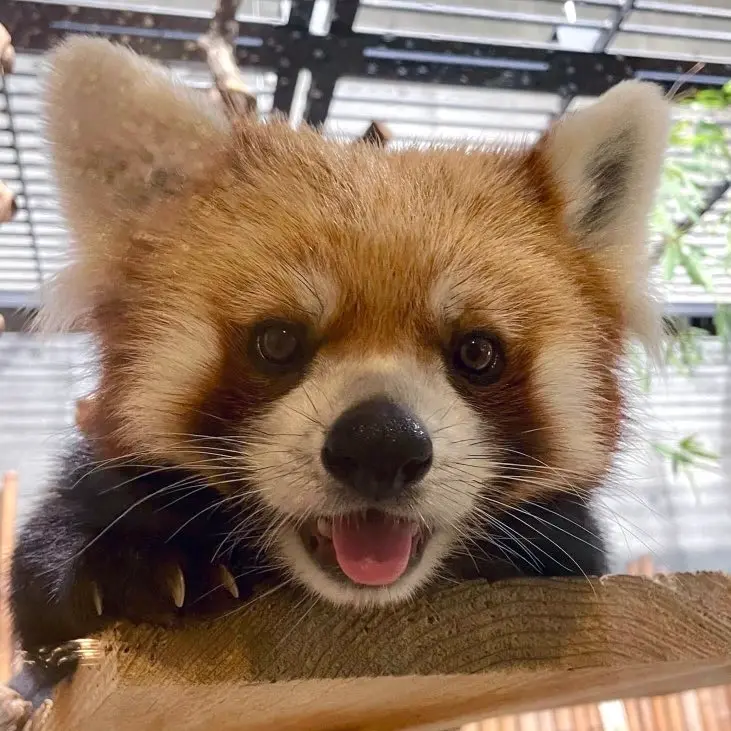ヒナタのプロフィール写真