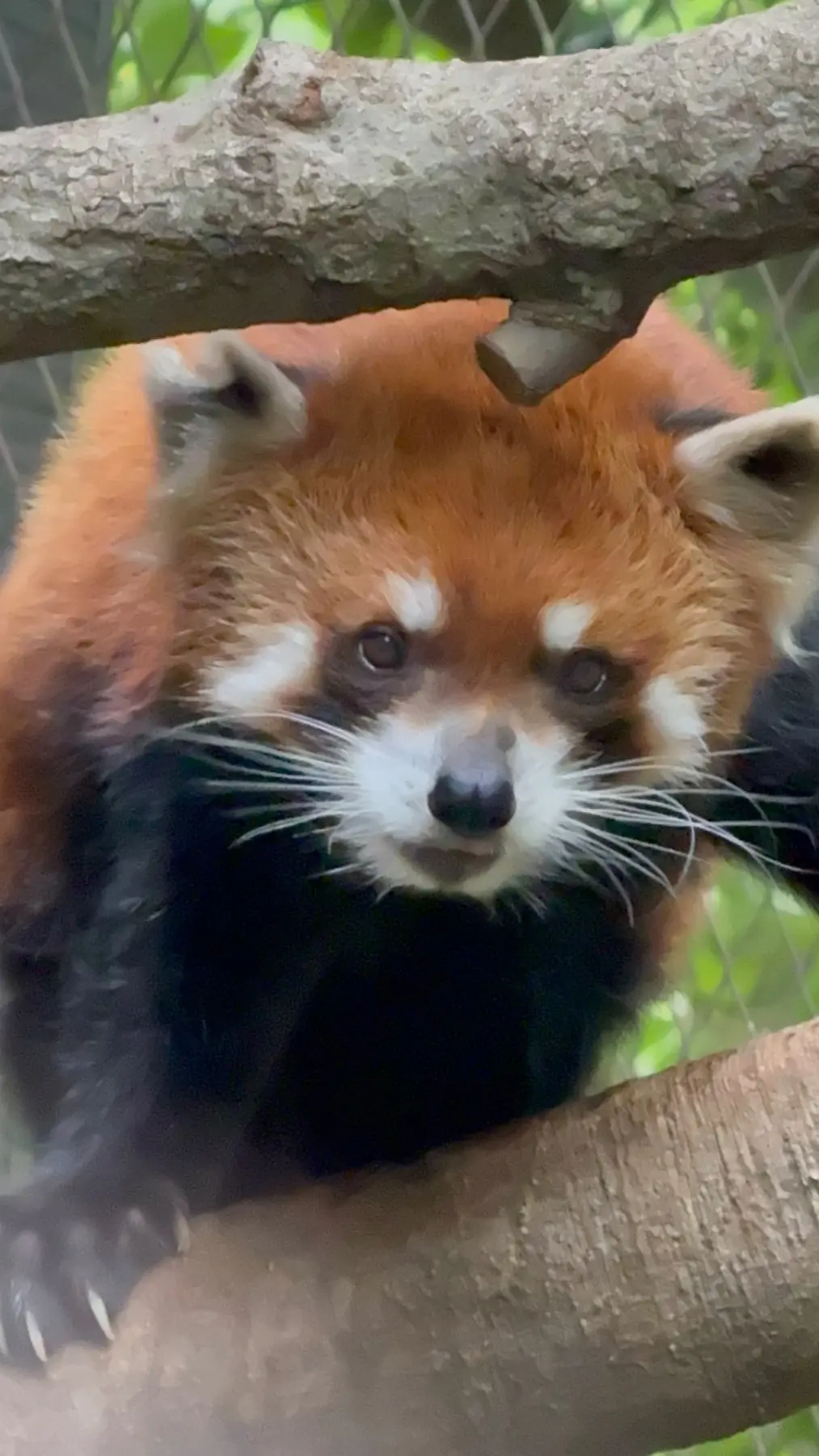 一郎のプロフィール写真