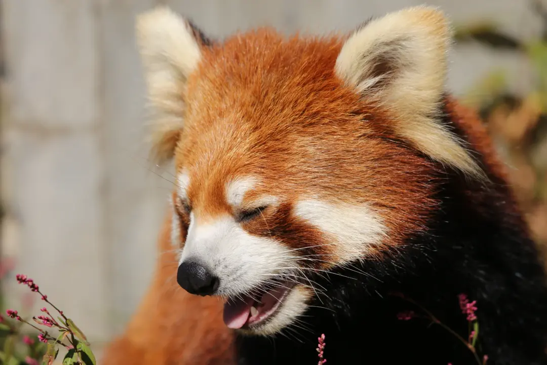 菫菫のプロフィール写真