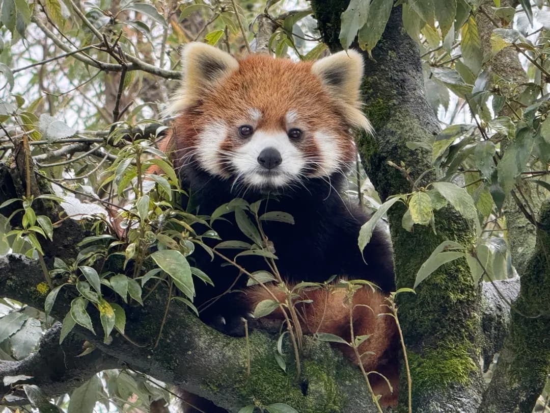 かえでのプロフィール写真