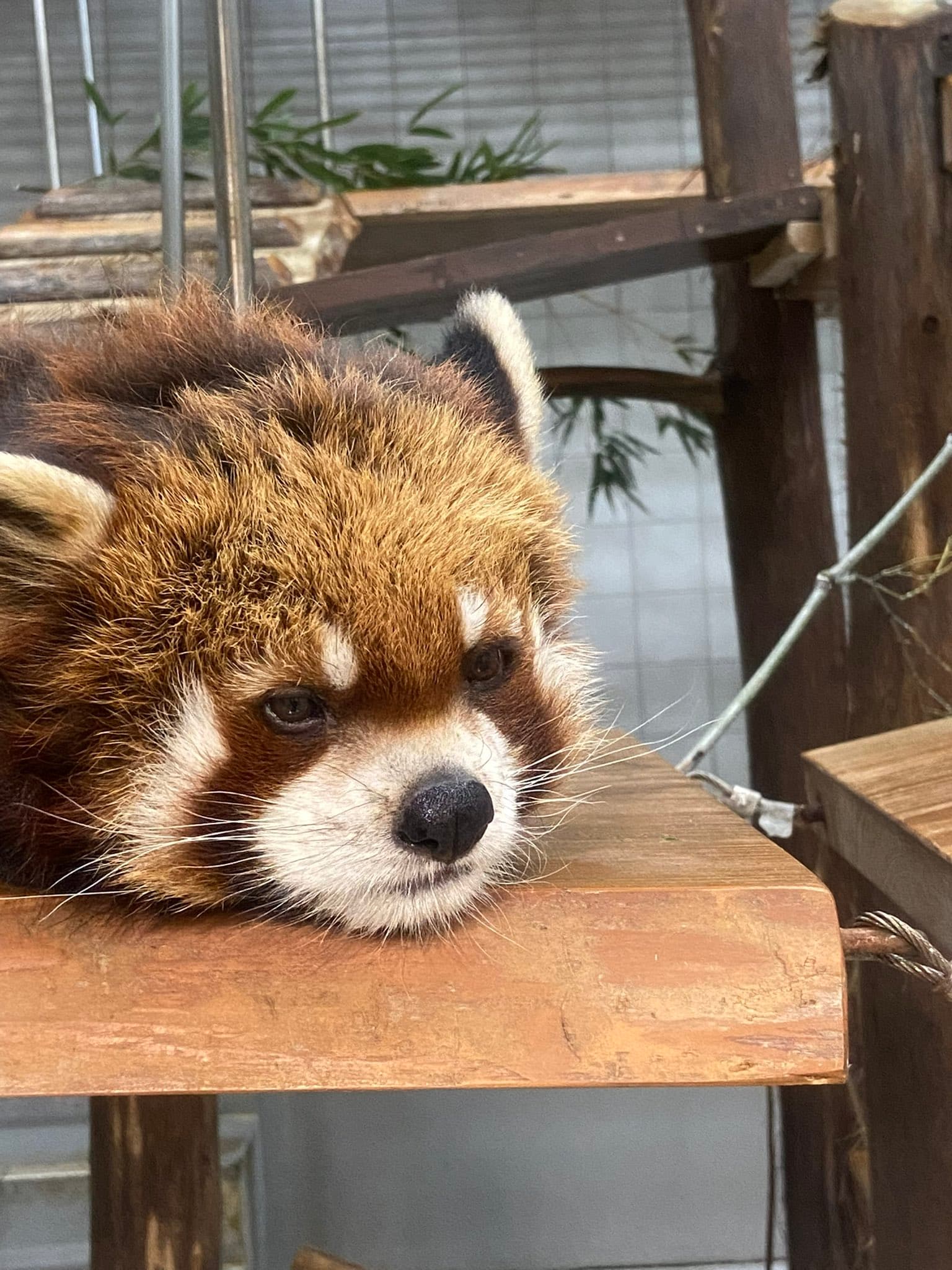 カイのプロフィール写真