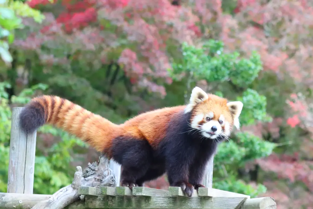 かんたのプロフィール写真