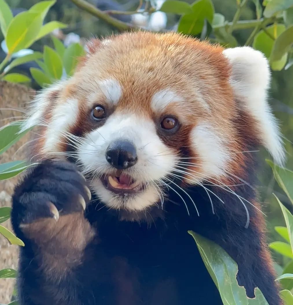 和のプロフィール写真