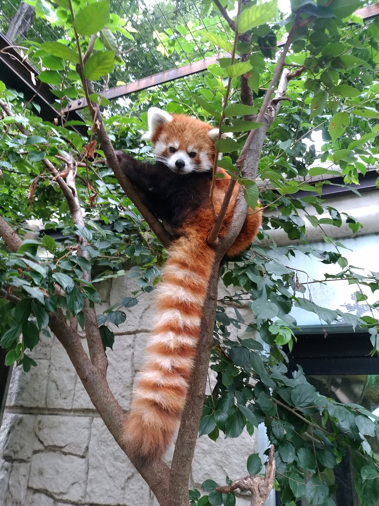 ケイコのプロフィール写真