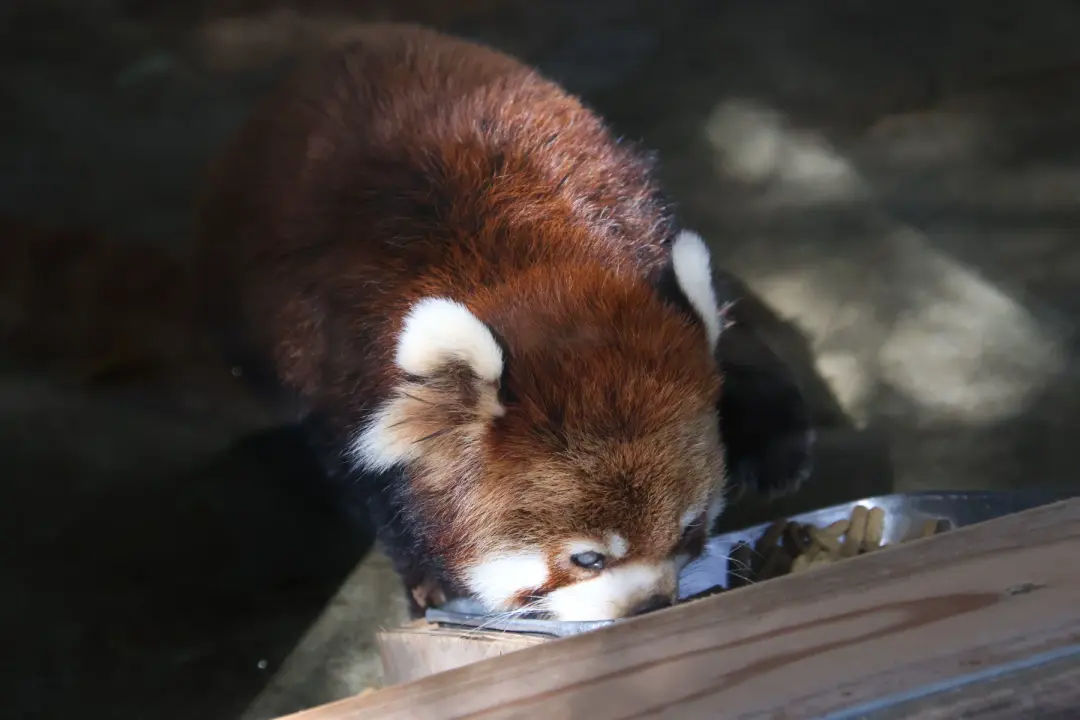 キキのプロフィール写真