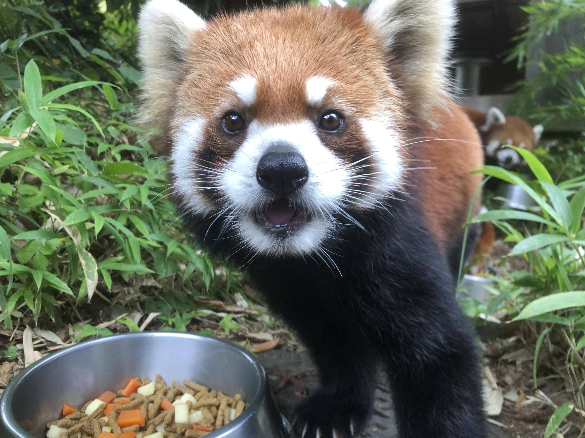 キクのプロフィール写真