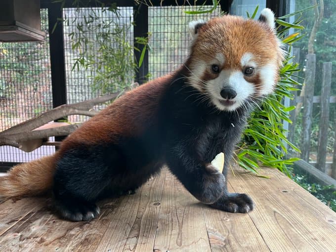 キントキのプロフィール写真