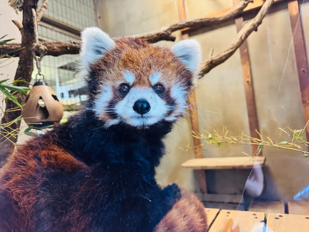 クルミのプロフィール写真