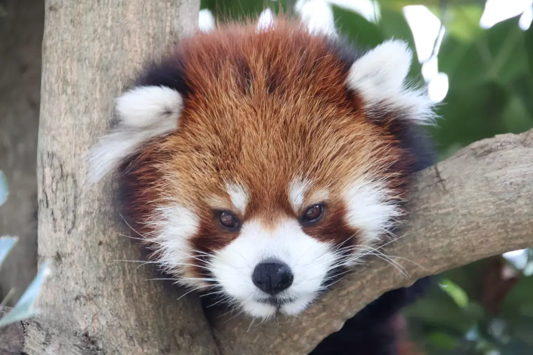 まいのプロフィール写真