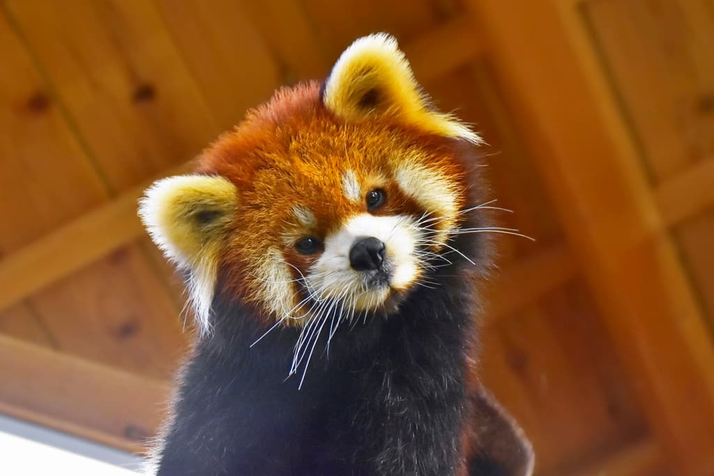 梅香のプロフィール写真