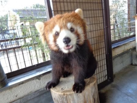 ミホのプロフィール写真