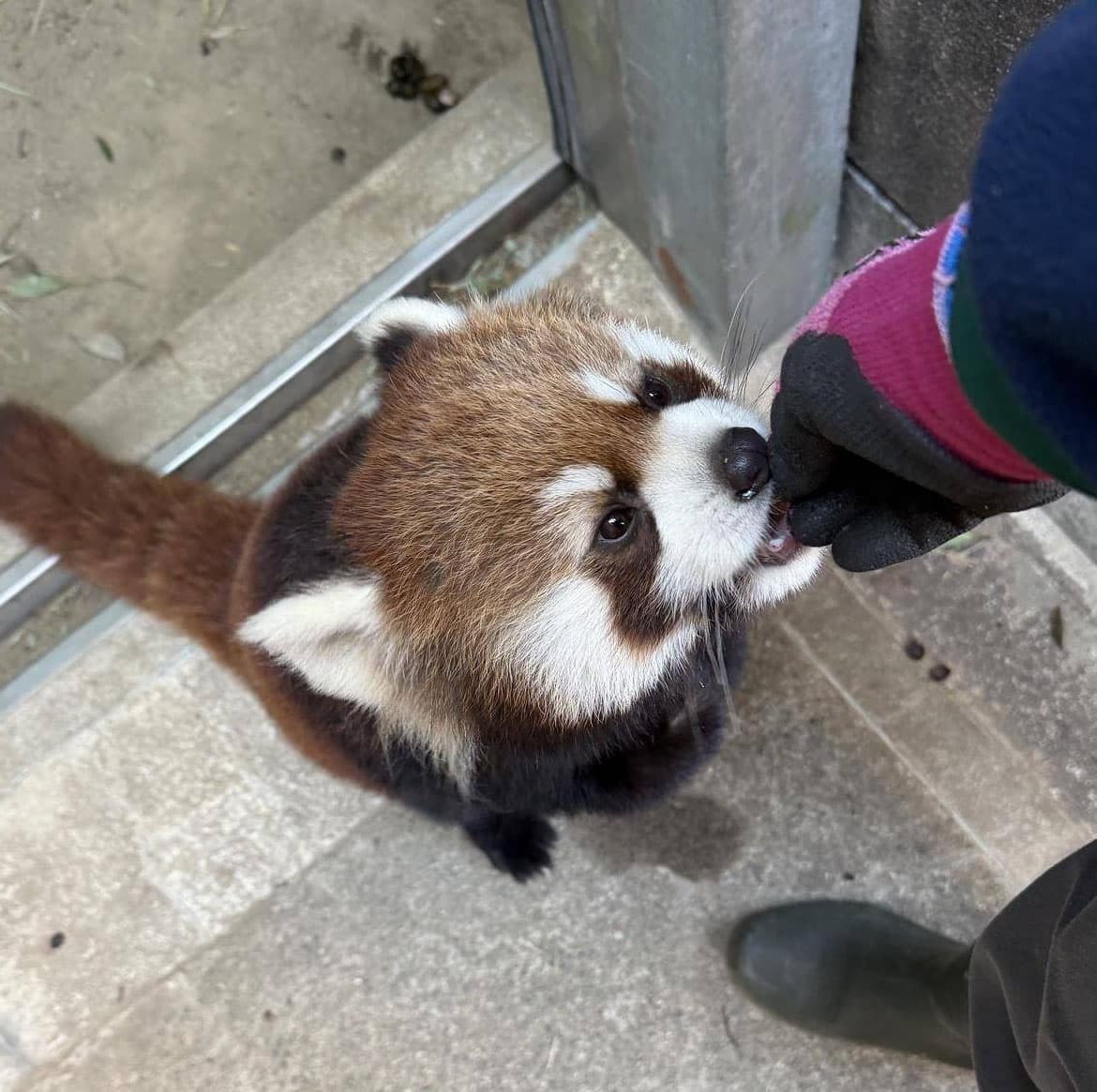 ミナトのプロフィール写真