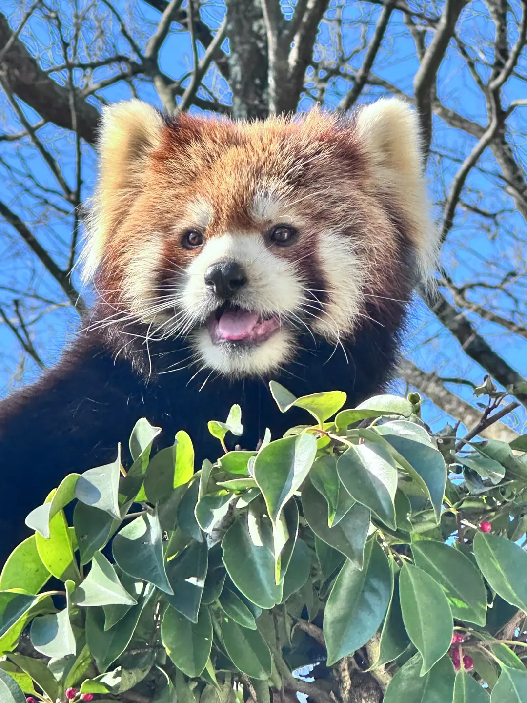 モッチーのプロフィール写真