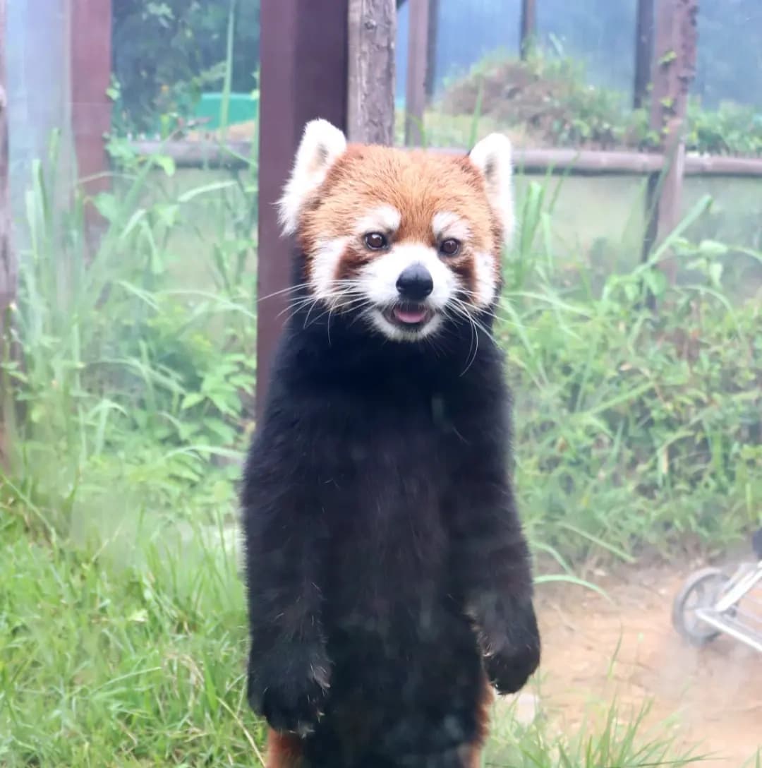 麦のプロフィール写真
