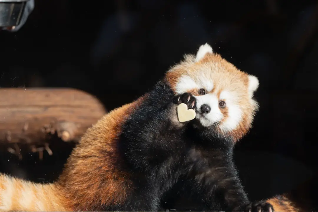 ななこのプロフィール写真
