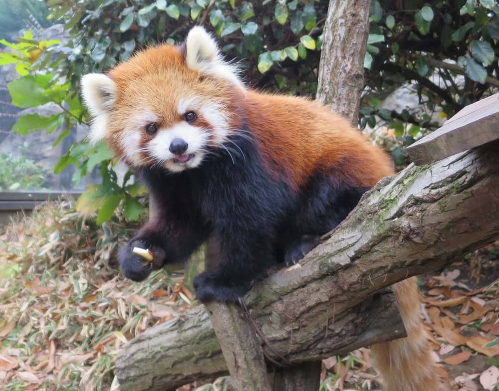 ララのプロフィール写真