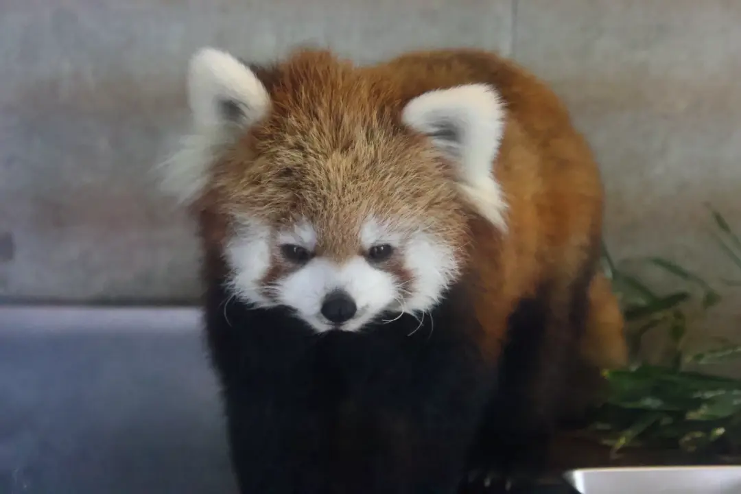 リコのプロフィール写真