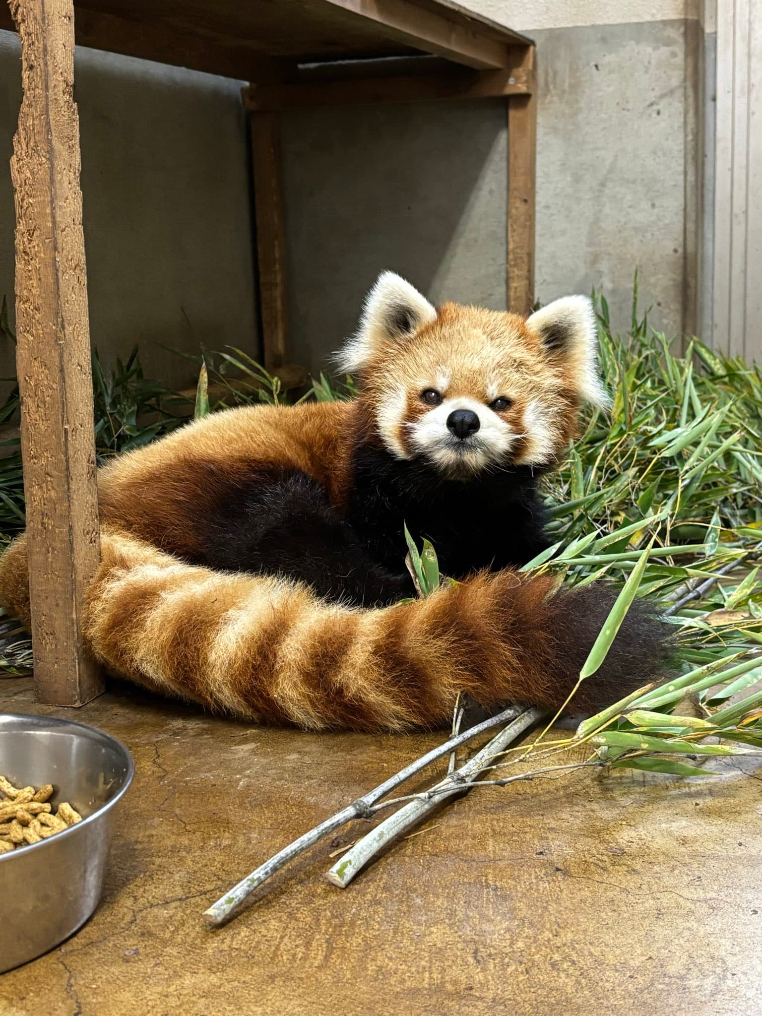 サラのプロフィール写真
