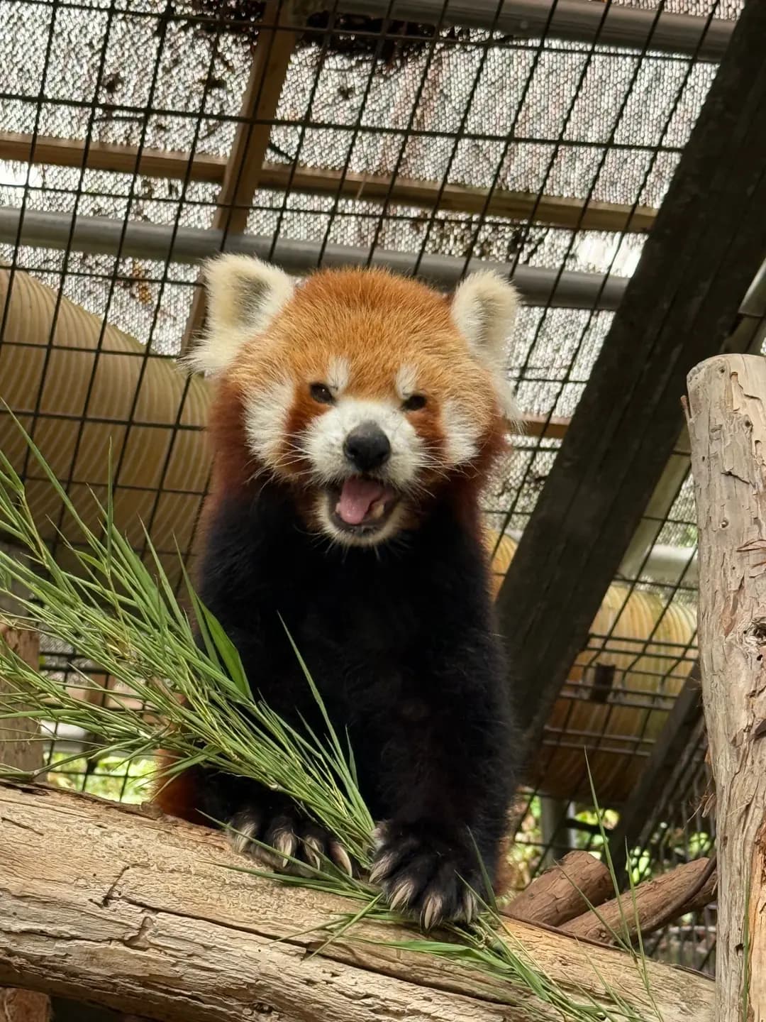 シナモンのプロフィール写真