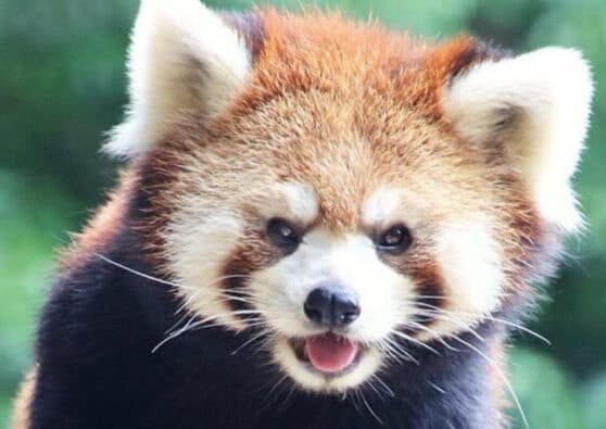 しずくのプロフィール写真