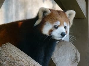 ソウソウのプロフィール写真