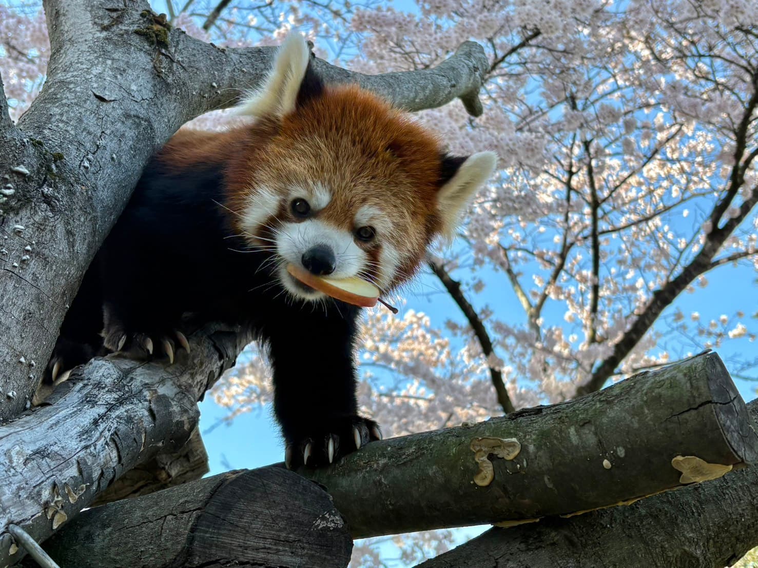 ティエンのプロフィール写真