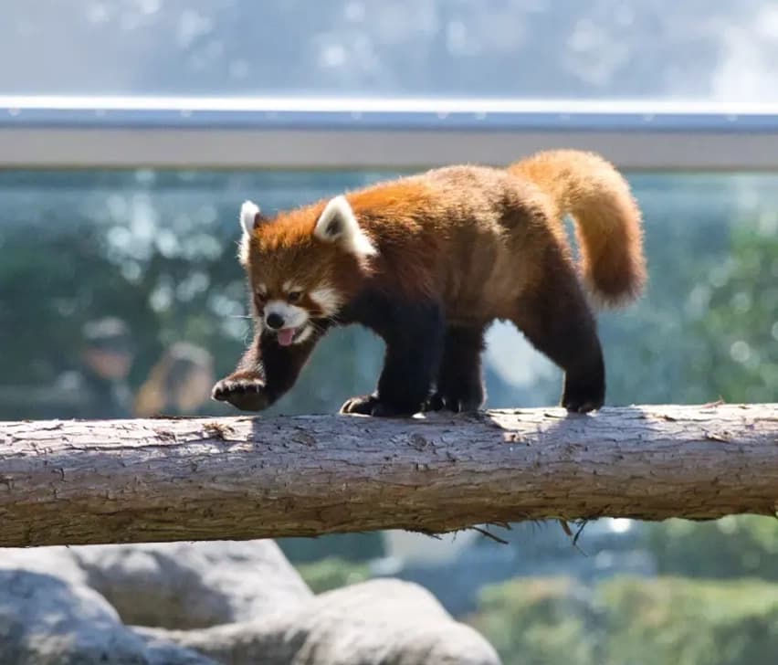 与作のプロフィール写真