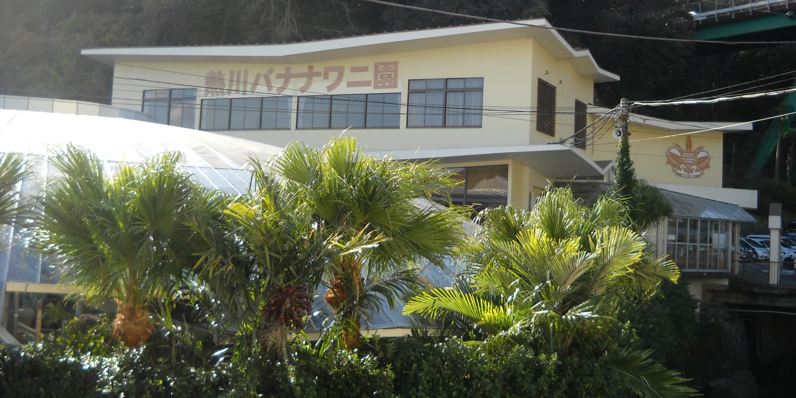 熱川バナナワニ園のメイン画像