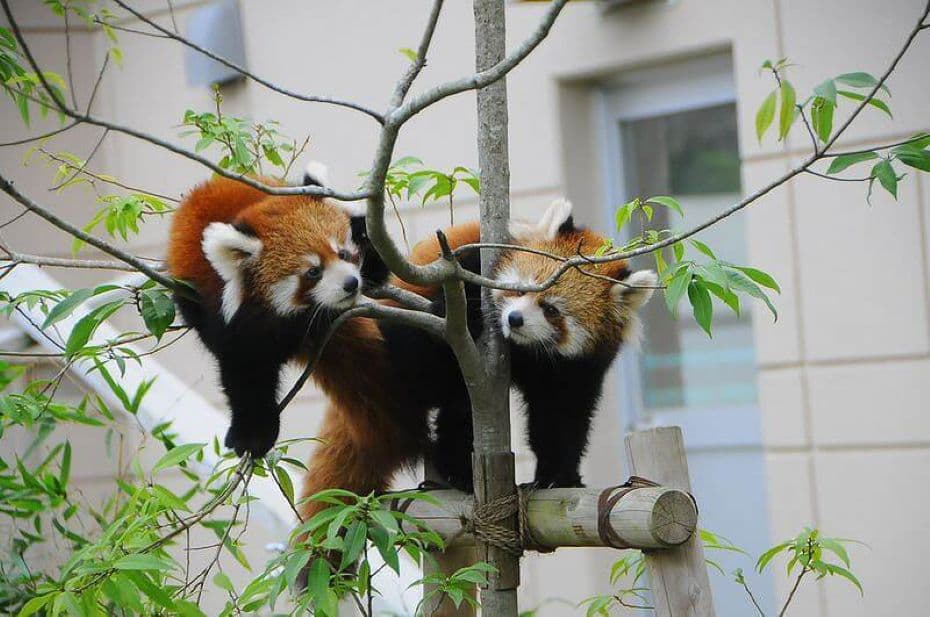 福知山市動物園のメイン画像