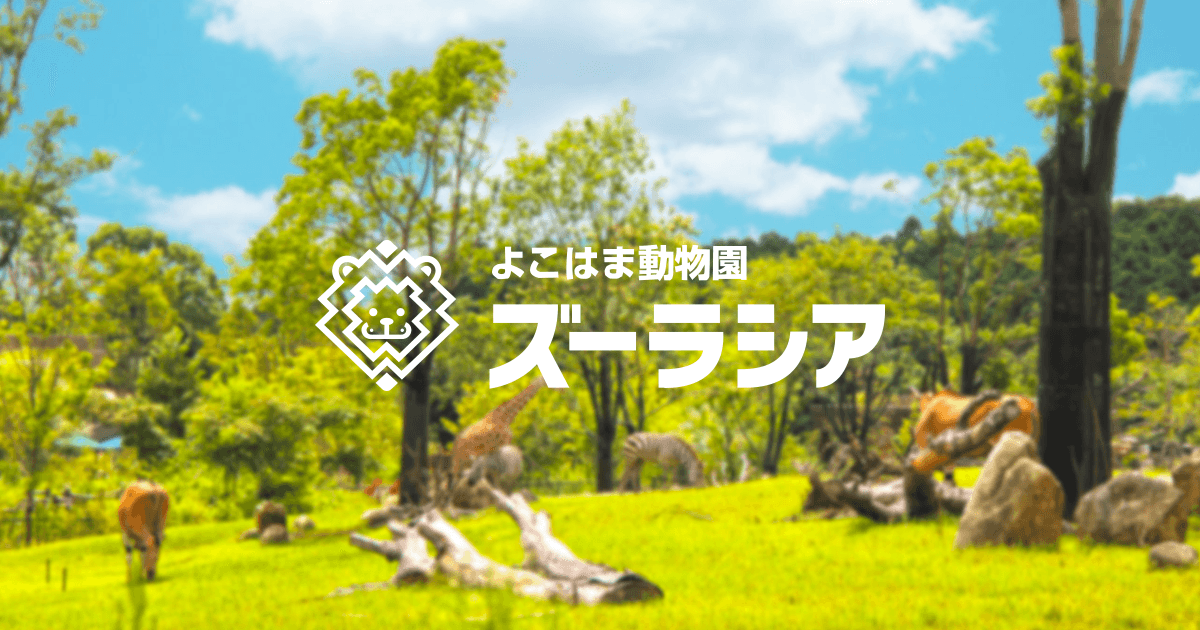 よこはま動物園ズーラシアのメイン画像
