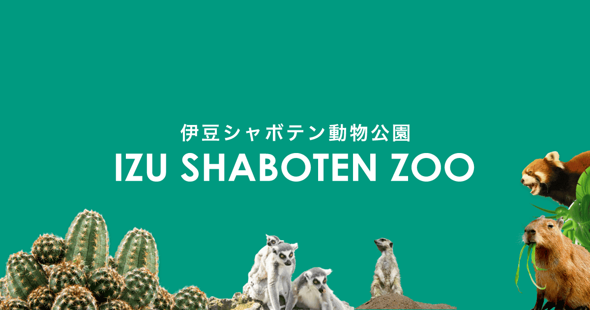 伊豆シャボテン動物公園のメイン画像