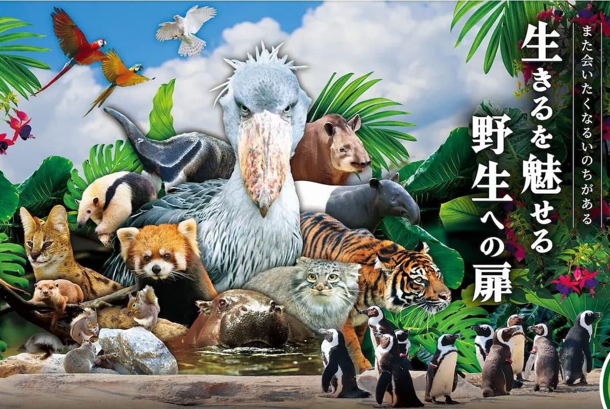 神戸どうぶつ王国のメイン画像