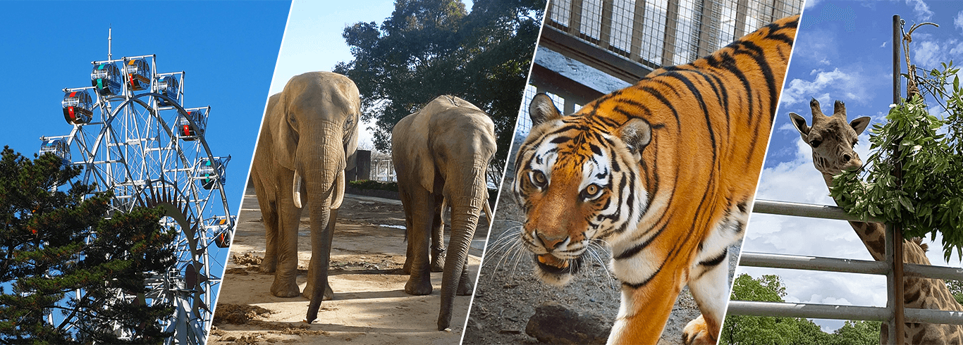 熊本市動植物園のメイン画像
