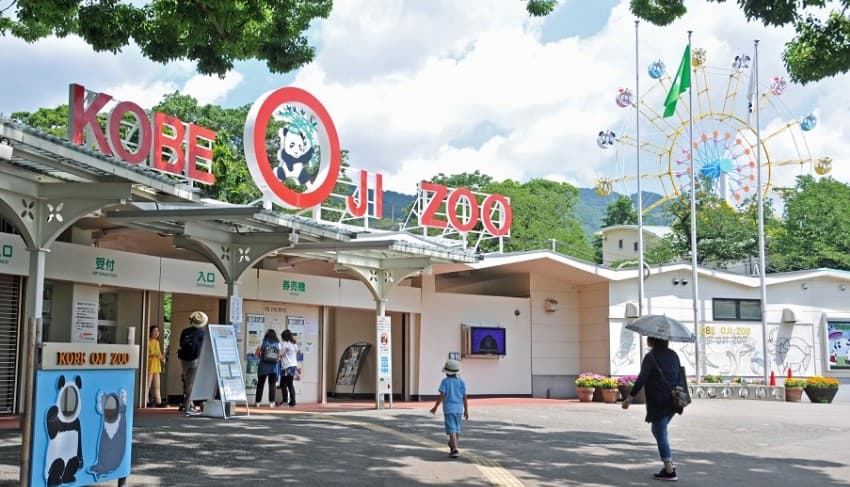 神戸市立王子動物園のメイン画像