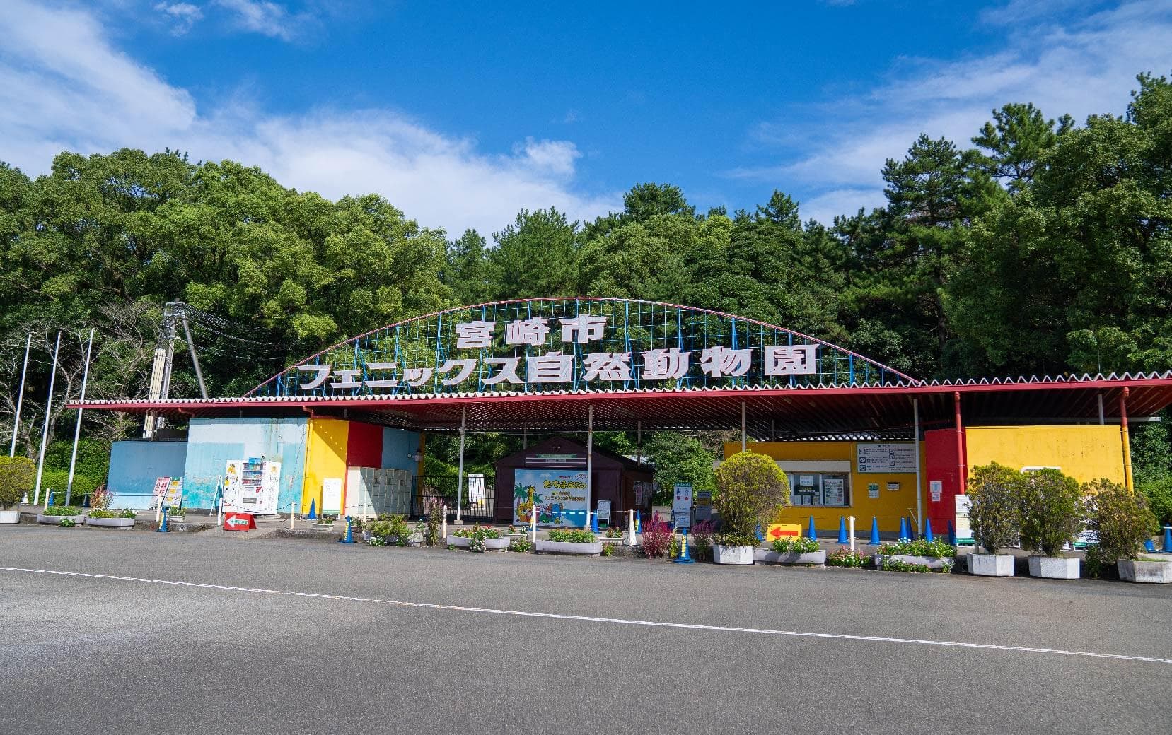 宮崎市フェニックス自然動物園のメイン画像