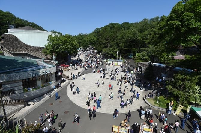 多摩動物公園のメイン画像
