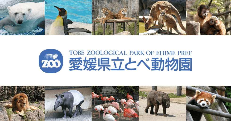 とべ動物園のメイン画像