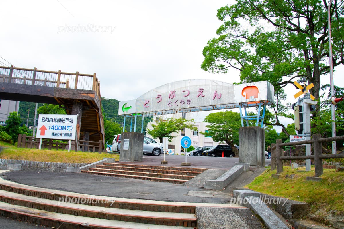 周南市徳山動物園のメイン画像