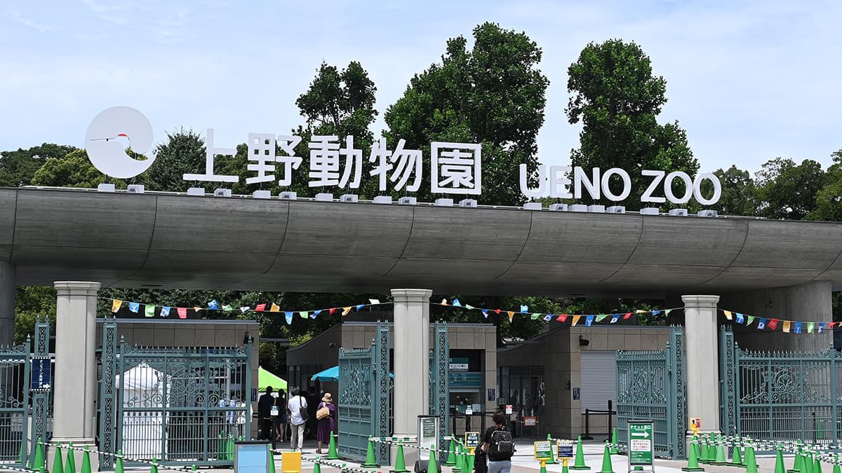 上野動物園のメイン画像