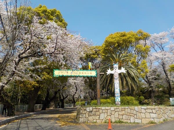 夢見ヶ崎動物公園のメイン画像