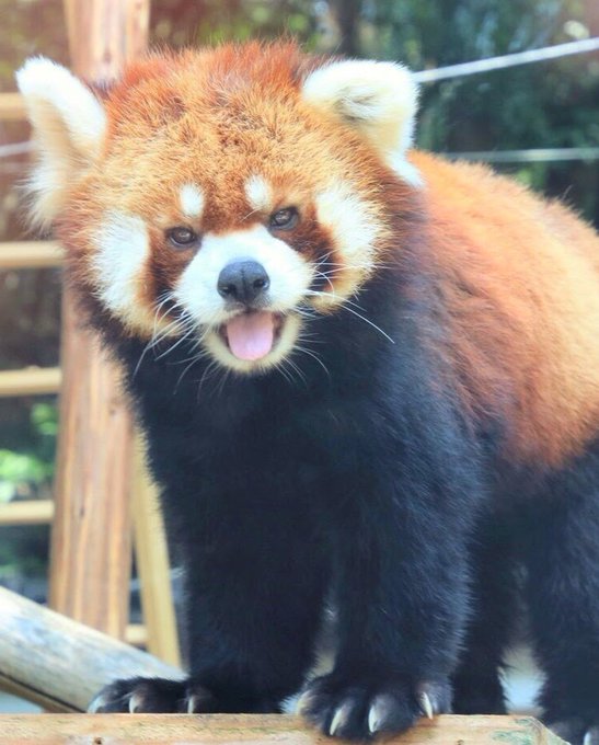 大地のプロフィール写真