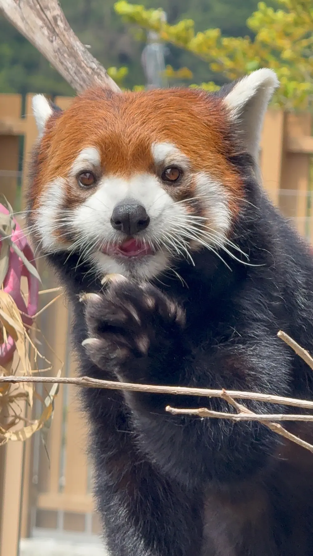 フランのプロフィール写真