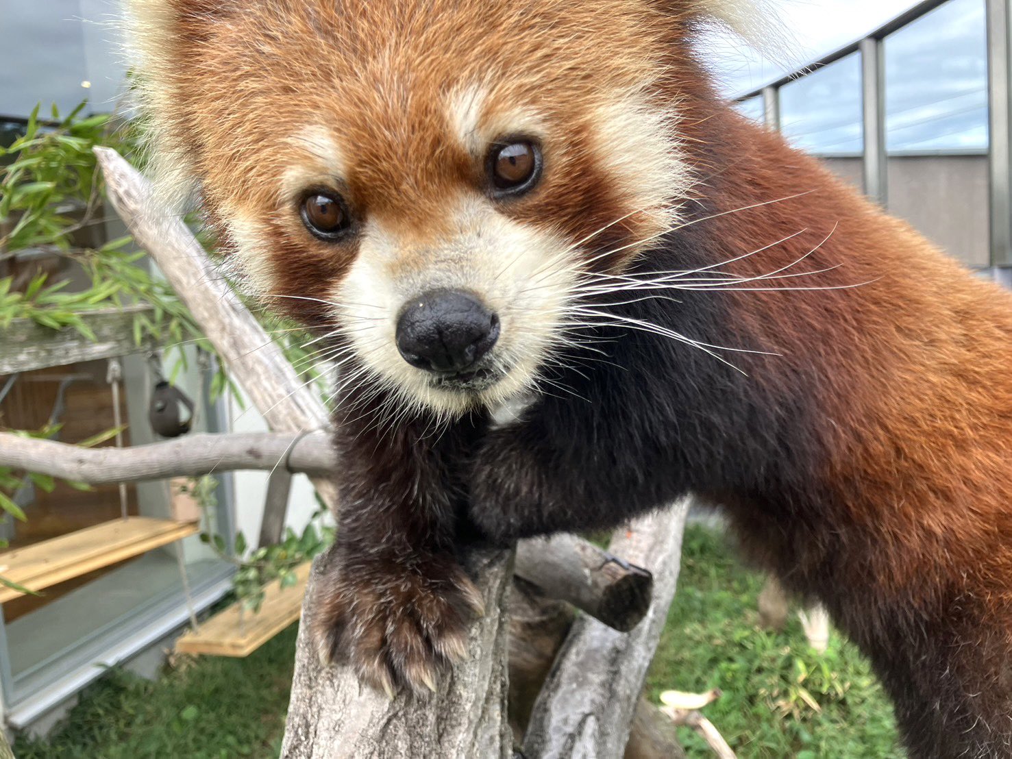福福のプロフィール写真