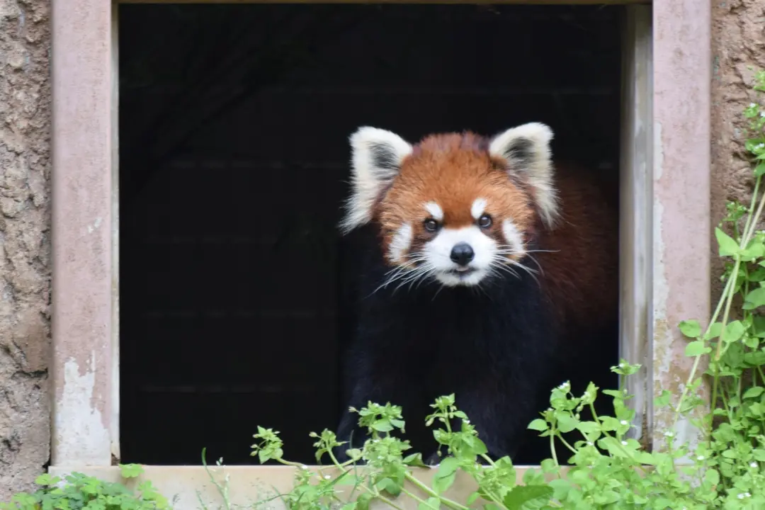 ひまわりのプロフィール写真