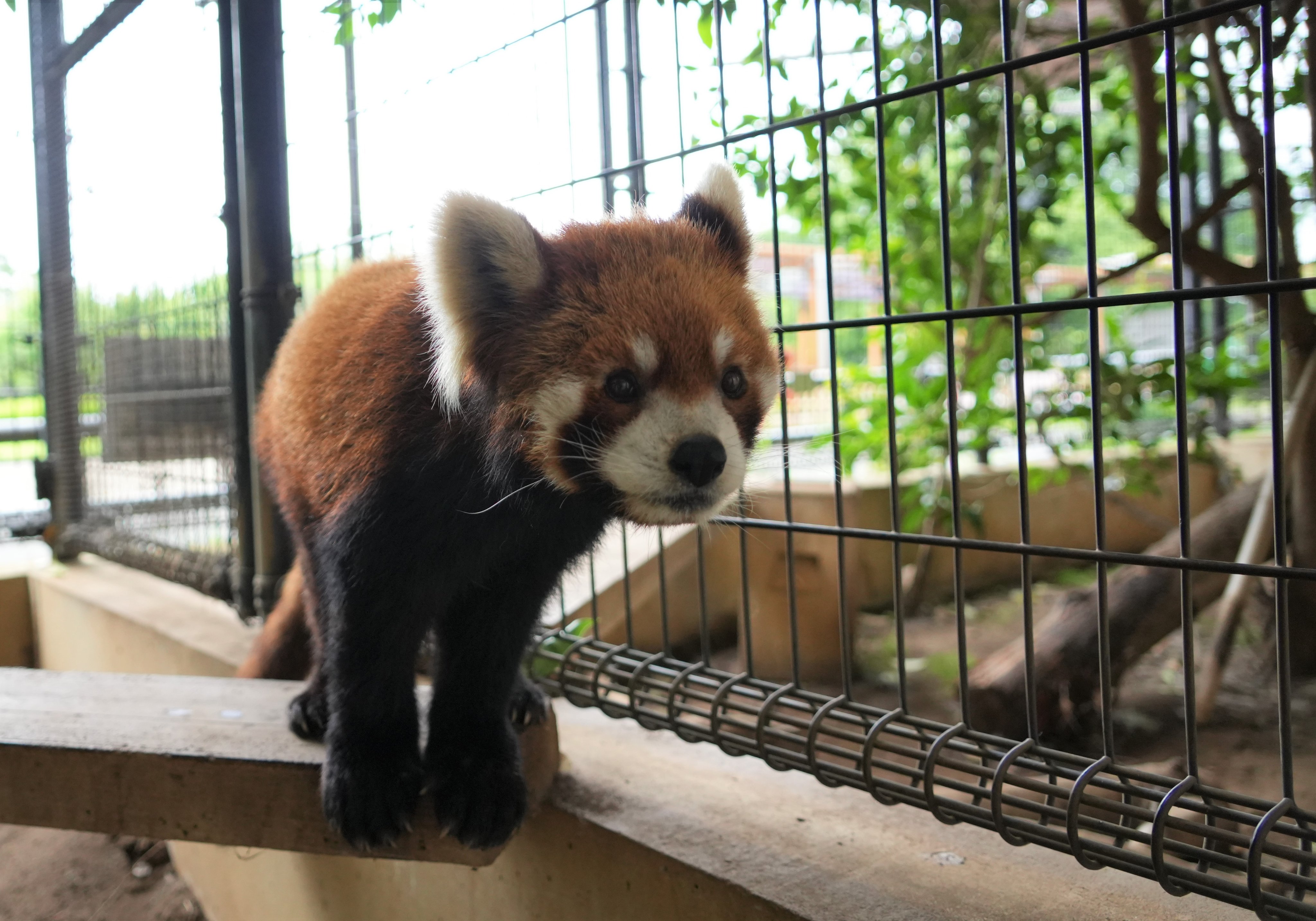 イチ丸のプロフィール写真