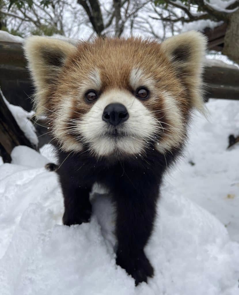 かんたのプロフィール写真