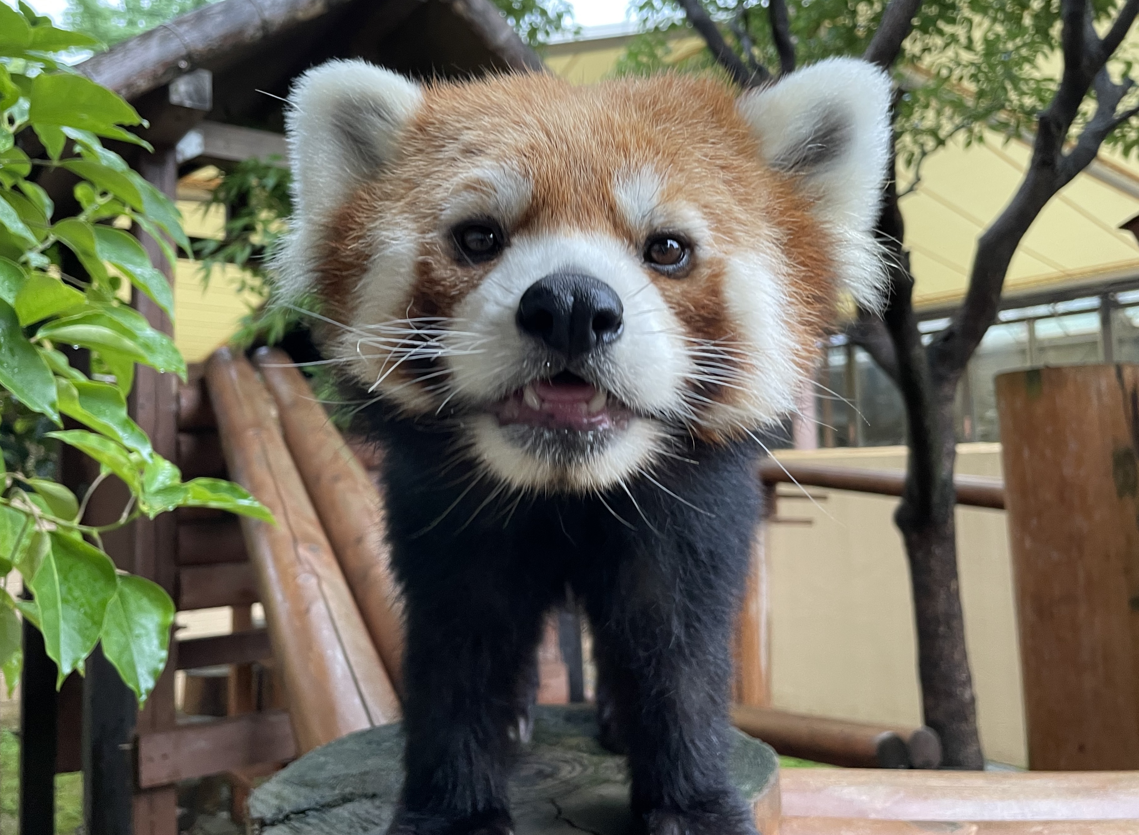 ケンタのプロフィール写真